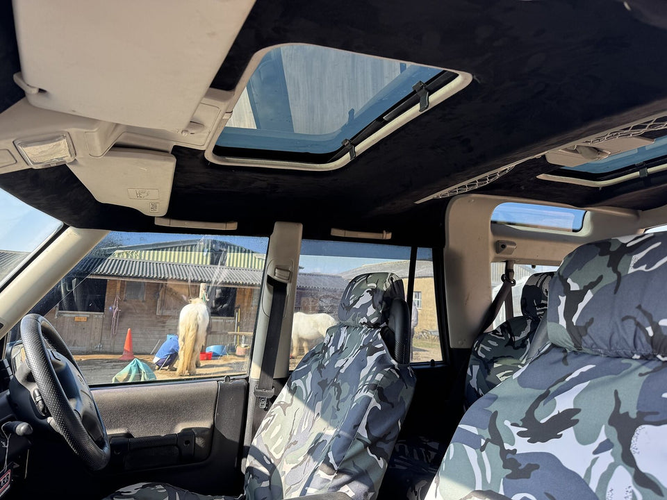 Headliner in Land Rover Discovery 2